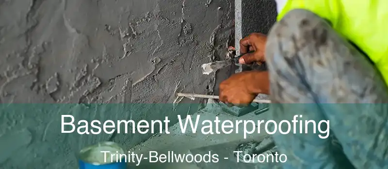 Basement Waterproofing Trinity-Bellwoods - Toronto