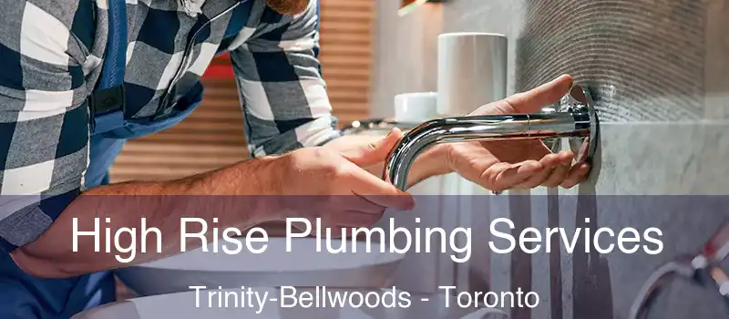 High Rise Plumbing Services Trinity-Bellwoods - Toronto