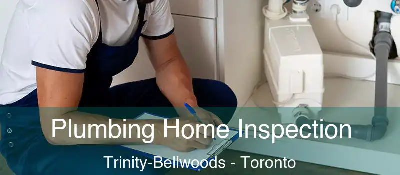 Plumbing Home Inspection Trinity-Bellwoods - Toronto