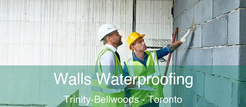 Walls Waterproofing Trinity-Bellwoods - Toronto